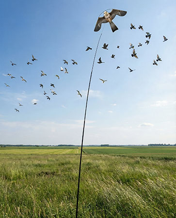 Отпугиватель птиц Кондор-140 один-в-один похож на парящую хищную птицу