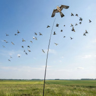 Отпугиватель птиц "SITITEK Кондор-140" Отпугиватель птиц "SITITEK Кондор-140"